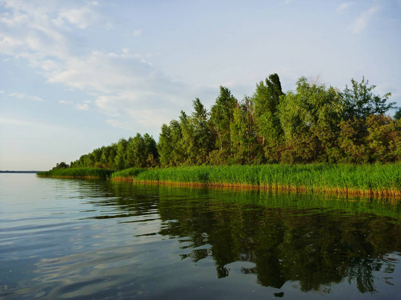 Матырское водохранилище липецкаякая область фото